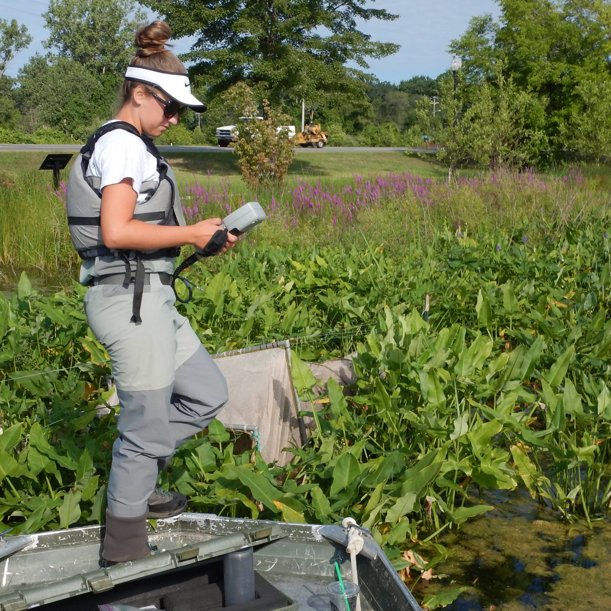 A technician uses a water quality sonde at Veterans Memorial Park.